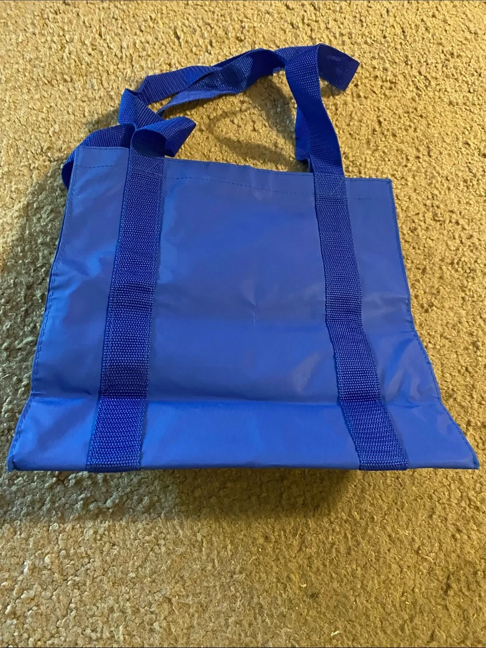 Miles Kimball Blue Snowman Tote Bag